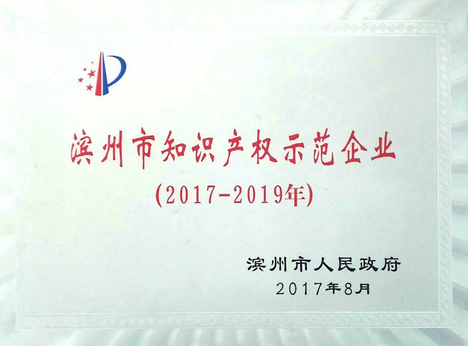 榮譽 | 繼工信部後，濱州市政府又一次對澳门太阳集团實業這項工作給予肯定，並頒授獎牌!