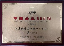 2020中國企業500強第430位