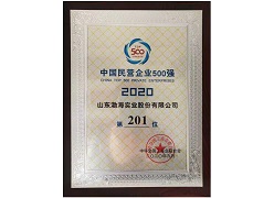 2020中國民營企業500強第201位